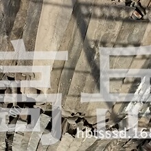 灵感来自阿莱经典电影机！荣耀Magic9 Pro Max图赏