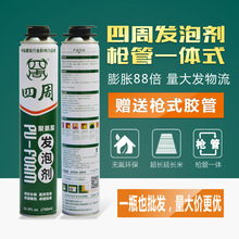 排舞：跳出活力，舞出精彩人生！