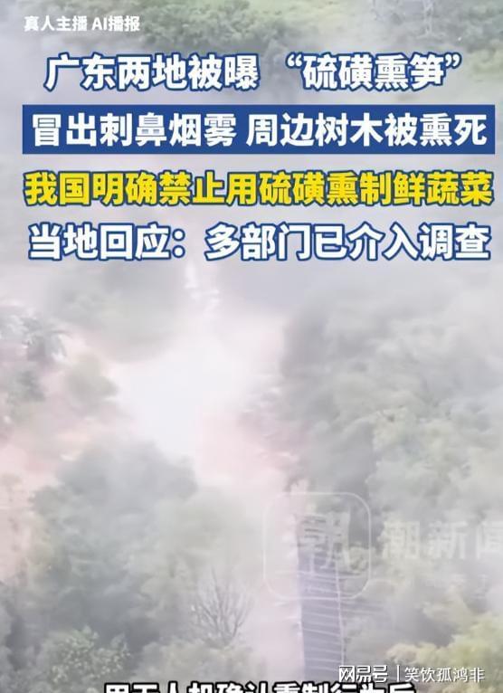 日本一海滩有鲸爆风险:游客切勿近距离围观!